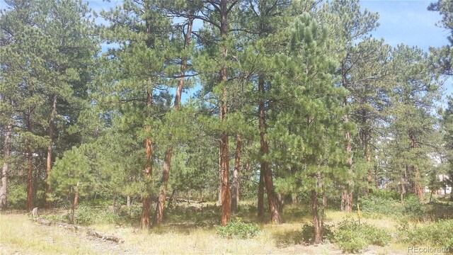 4467 Delaware Dr, Larkspur, CO 80118 - photo 10