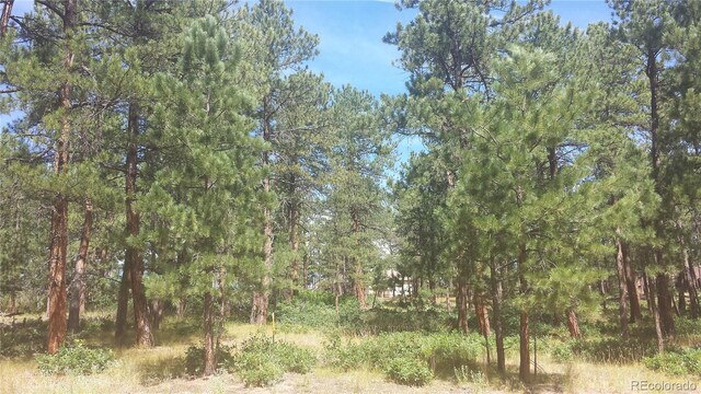 4467 Delaware Dr, Larkspur, CO 80118 - photo 11