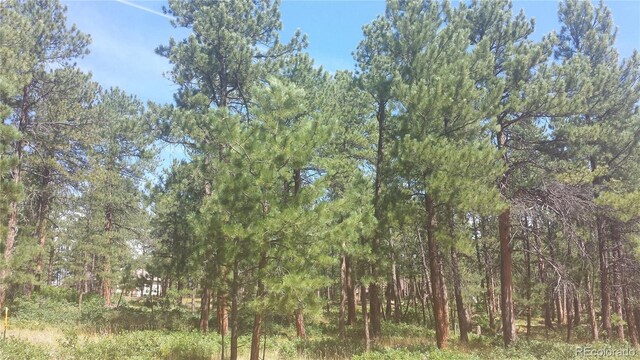 4467 Delaware Dr, Larkspur, CO 80118 - photo 12