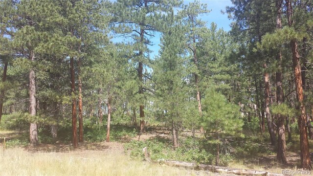 4467 Delaware Dr, Larkspur, CO 80118 - photo 13