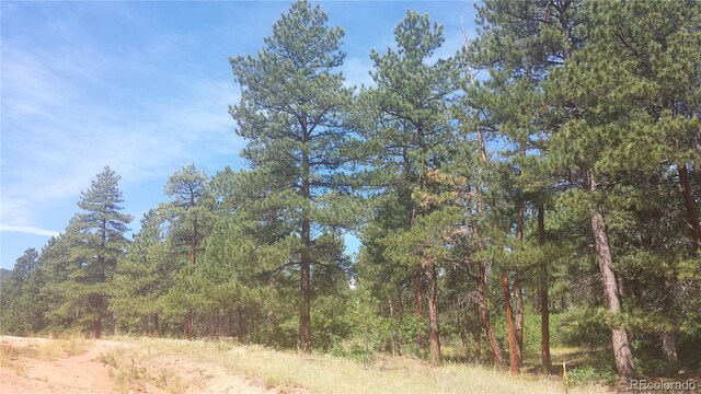 4467 Delaware Dr, Larkspur, CO 80118 - photo 14