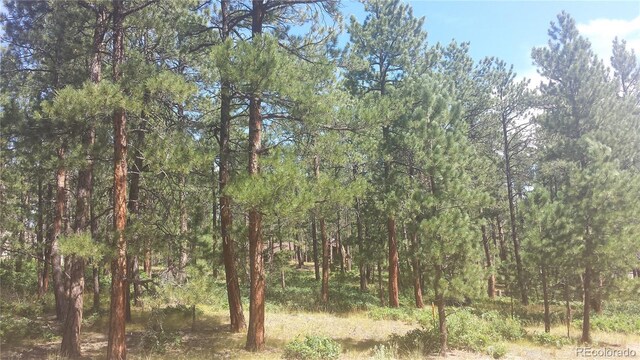 4467 Delaware Dr, Larkspur, CO 80118 - photo 15