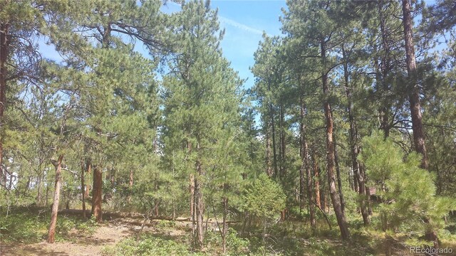 4467 Delaware Dr, Larkspur, CO 80118 - photo 17