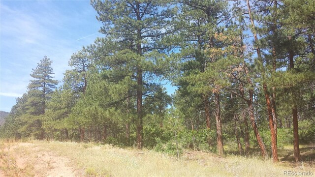 4467 Delaware Dr, Larkspur, CO 80118 - photo 18
