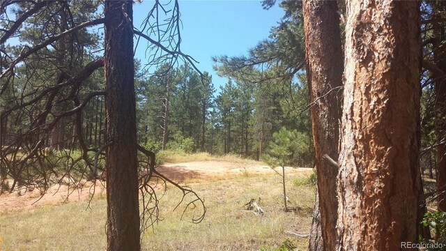 4467 Delaware Dr, Larkspur, CO 80118 - photo 21