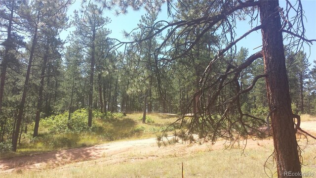 4467 Delaware Dr, Larkspur, CO 80118 - photo 22