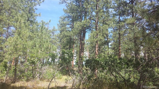 4467 Delaware Dr, Larkspur, CO 80118 - photo 23