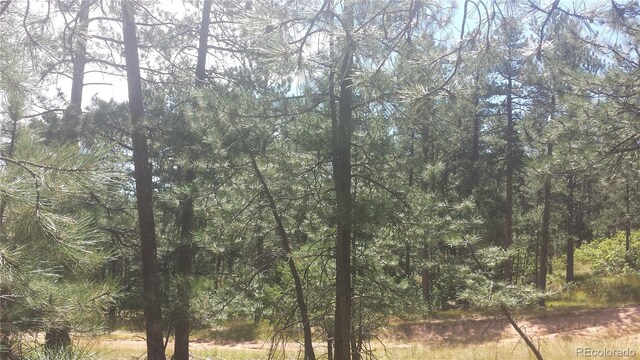 4467 Delaware Dr, Larkspur, CO 80118 - photo 25