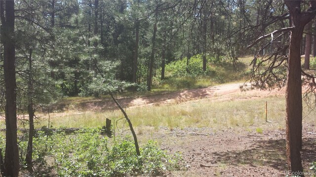 4467 Delaware Dr, Larkspur, CO 80118 - photo 26