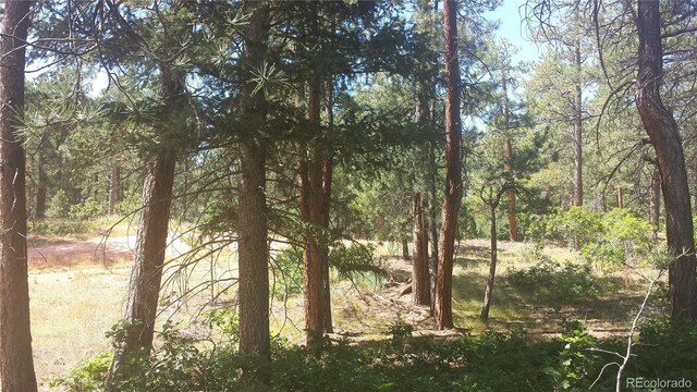 4467 Delaware Dr, Larkspur, CO 80118 - photo 27