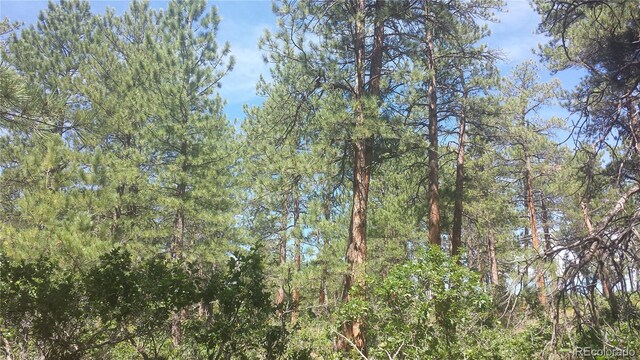 4467 Delaware Dr, Larkspur, CO 80118 - photo 29