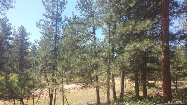 4467 Delaware Dr, Larkspur, CO 80118 - photo 30