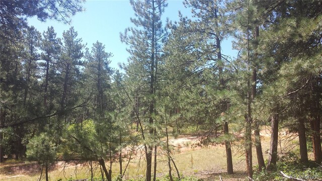 4467 Delaware Dr, Larkspur, CO 80118 - photo 31