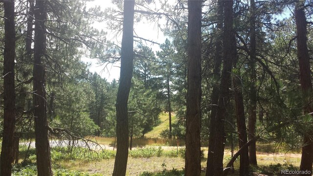 4467 Delaware Dr, Larkspur, CO 80118 - photo 32