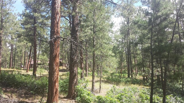 4467 Delaware Dr, Larkspur, CO 80118 - photo 33