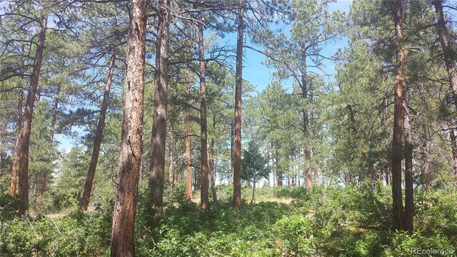 4467 Delaware Dr, Larkspur, CO 80118 - photo 34