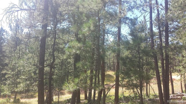 4467 Delaware Dr, Larkspur, CO 80118 - photo 36