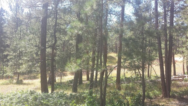 4467 Delaware Dr, Larkspur, CO 80118 - photo 37