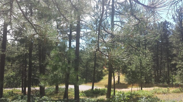4467 Delaware Dr, Larkspur, CO 80118 - photo 39