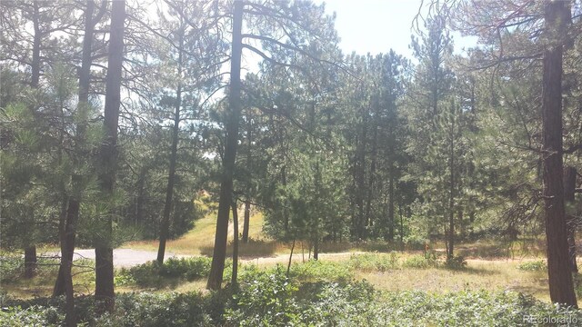 4467 Delaware Dr, Larkspur, CO 80118 - photo 40