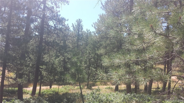 4467 Delaware Dr, Larkspur, CO 80118 - photo 41