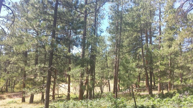 4467 Delaware Dr, Larkspur, CO 80118 - photo 42