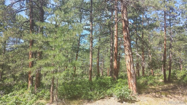 4467 Delaware Dr, Larkspur, CO 80118 - photo 43