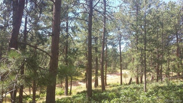 4467 Delaware Dr, Larkspur, CO 80118 - photo 45