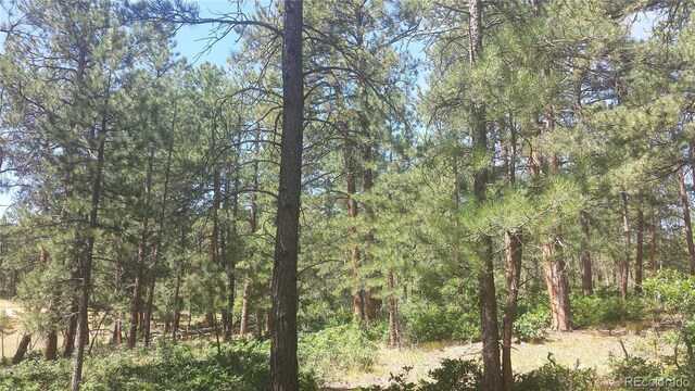 4467 Delaware Dr, Larkspur, CO 80118 - photo 46