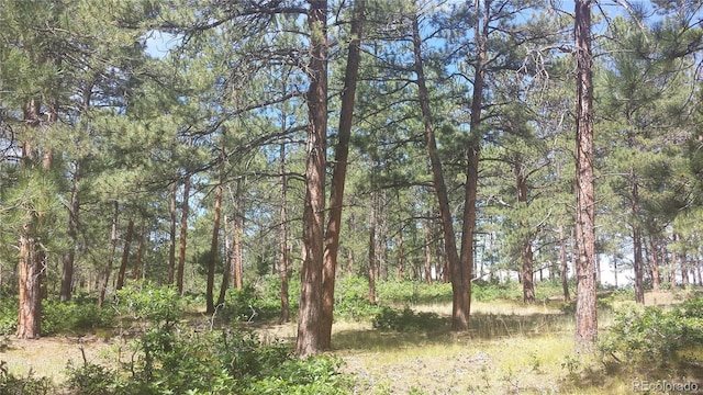4467 Delaware Dr, Larkspur, CO 80118 - photo 47