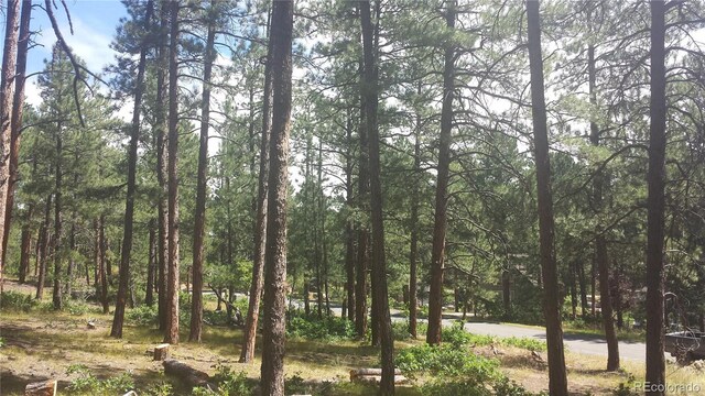 4467 Delaware Dr, Larkspur, CO 80118 - photo 48