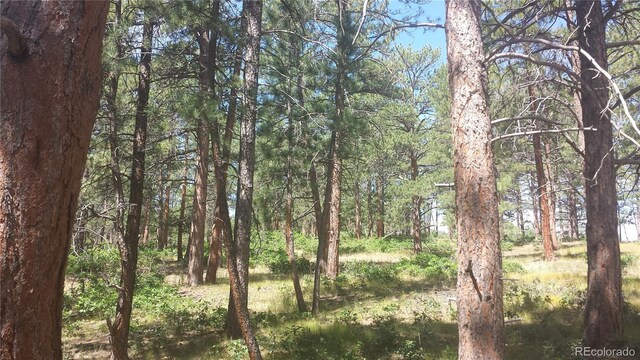 4467 Delaware Dr, Larkspur, CO 80118 - photo 50