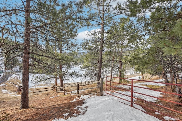 view of yard covered in snow