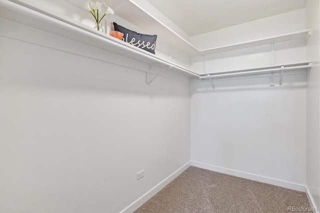 spacious closet with carpet floors