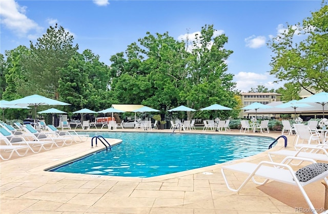 view of swimming pool featuring a patio