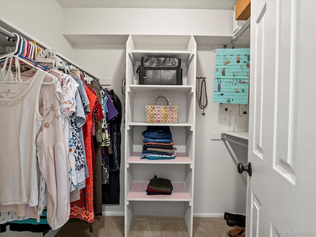 8953 W Brandt Pl, Littleton, CO 80123 - walk in closet featuring carpet flooring