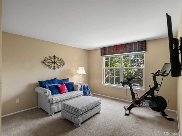 8953 W Brandt Pl, Littleton, CO 80123 - living area featuring carpet
