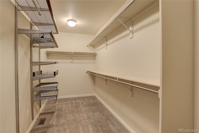 spacious closet featuring carpet floors