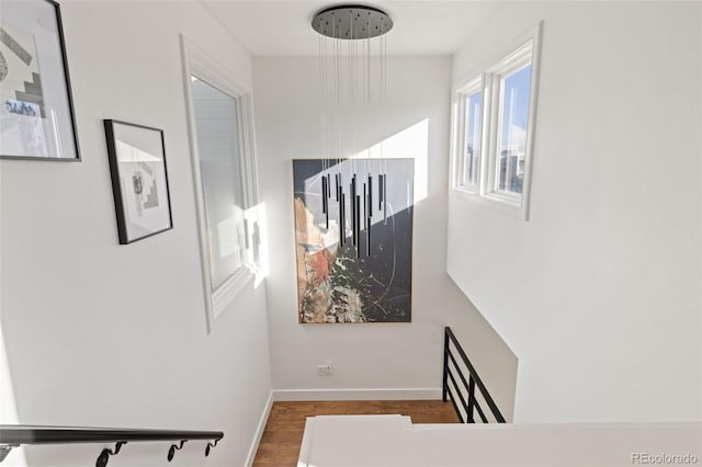 stairway featuring hardwood / wood-style floors