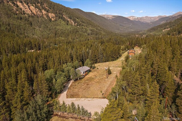 3938 County Road 60, Grant, CO 80448 - mountain view with a forest