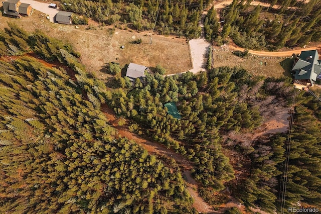 3938 County Road 60, Grant, CO 80448 - aerial view of property and surrounding area