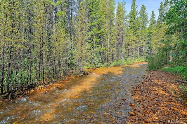 3938 County Road 60, Grant, CO 80448 - water view featuring a forest