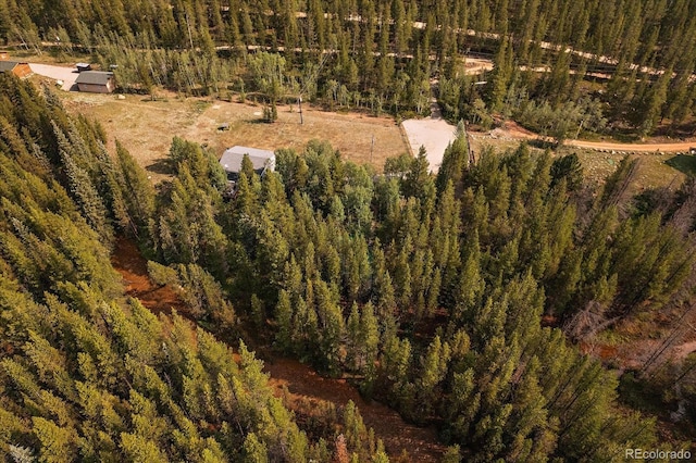 3938 County Road 60, Grant, CO 80448 - view of property location featuring a forest