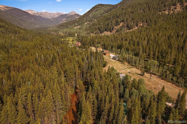 3938 County Road 60, Grant, CO 80448 - mountain view featuring a forest