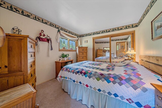 3938 County Road 60, Grant, CO 80448 - bedroom with light carpet