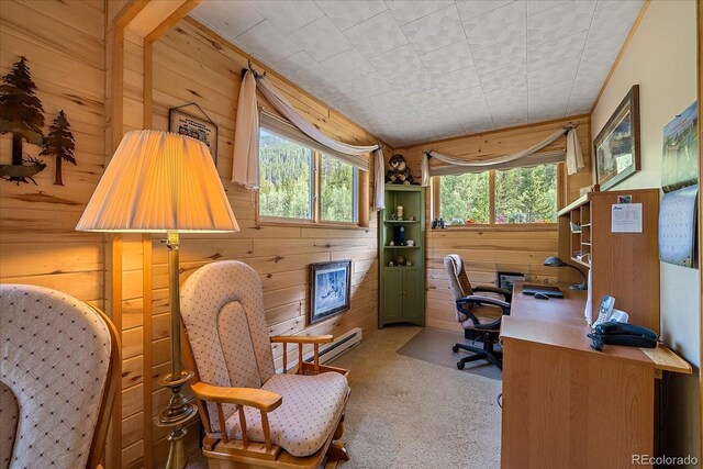 3938 County Road 60, Grant, CO 80448 - office area featuring wooden walls, plenty of natural light, carpet floors, and baseboard heating