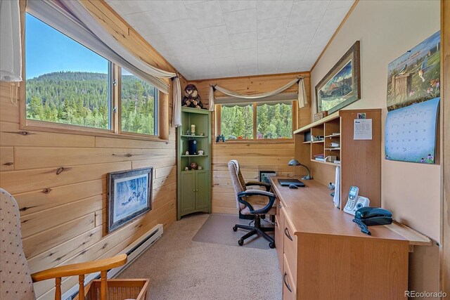 3938 County Road 60, Grant, CO 80448 - carpeted home office featuring wooden walls