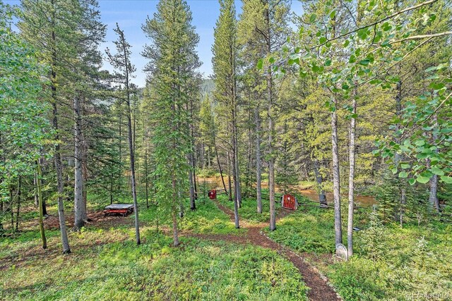 3938 County Road 60, Grant, CO 80448 - view of yard with a forest view