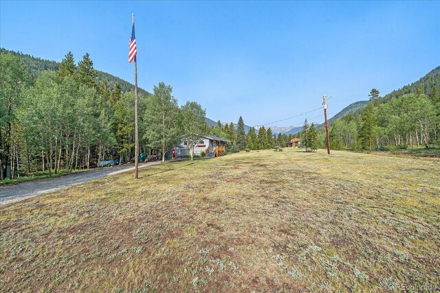 3938 County Road 60, Grant, CO 80448 - view of yard featuring a forest view and a mountain view