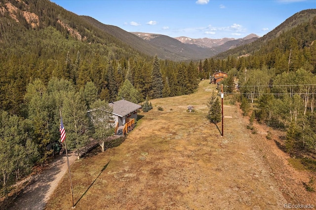 3938 County Road 60, Grant, CO 80448 - view of mountain backdrop with a heavily wooded area